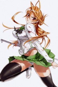 Highschool of the Dead.Gakuen Mokushiroku.320x480 Rei Miyamoto