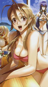 Highschool of the Dead.Gakuen Mokushiroku.360x640