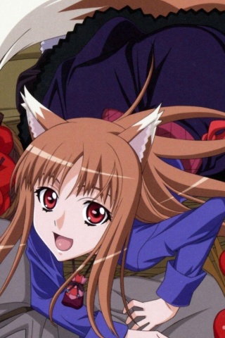 Papel de parede de personagens de anime, Spice and Wolf, Holo, Guilty Crown,  HD papel de parede