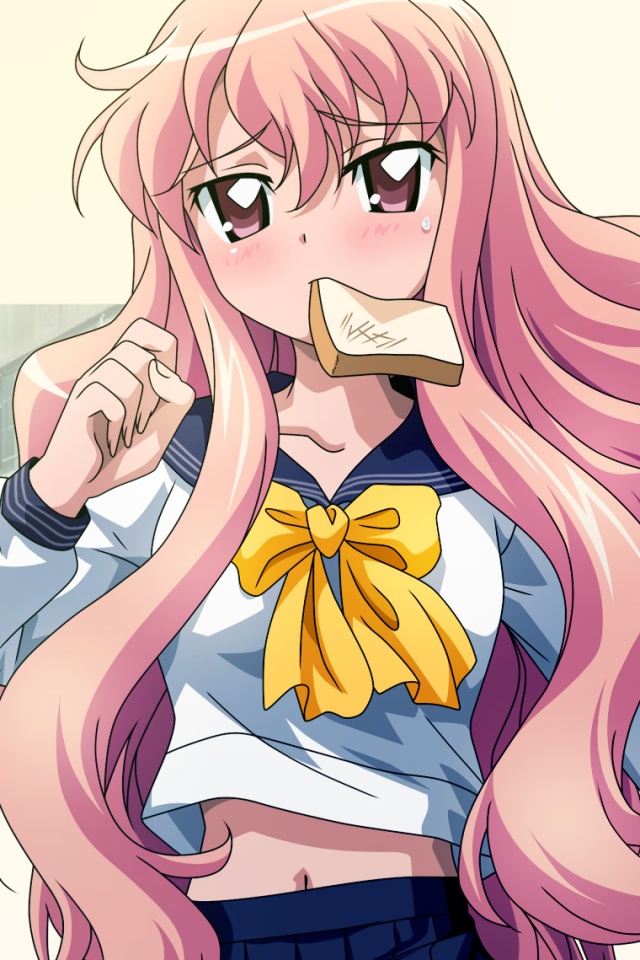 Louise The Familiar of Zero Saito Hiraga Anime Manga, Anime, cg Artwork,  manga png | PNGEgg