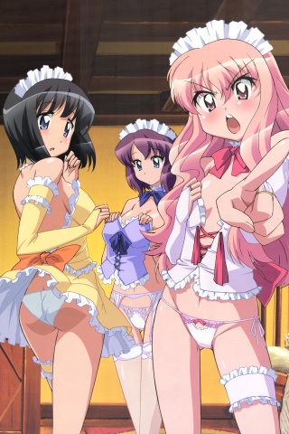 Zero no Tsukaima.Siesta.360×640 (1) – Kawaii Mobile