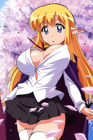 Zero no Tsukaima.Siesta.360×640 (1) – Kawaii Mobile