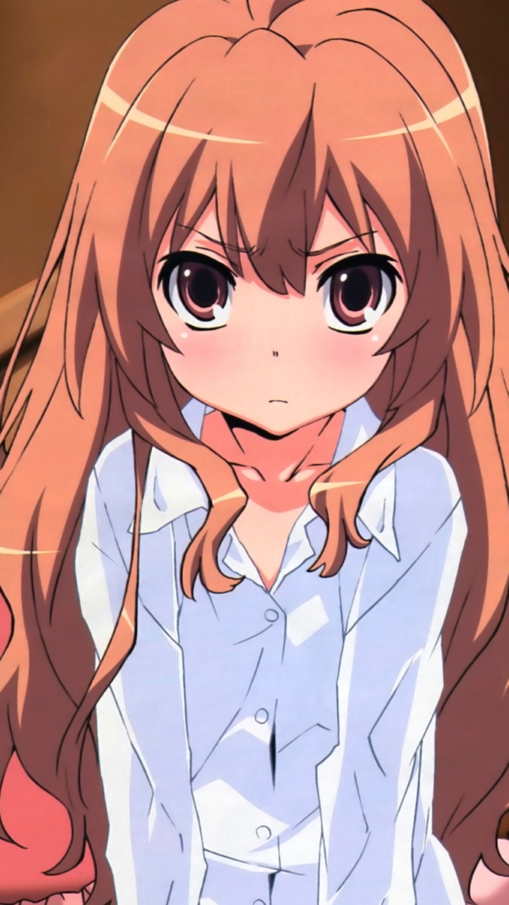 Wallpaper sword, anime, art, Toradora!, Taiga, Ryūji for mobile