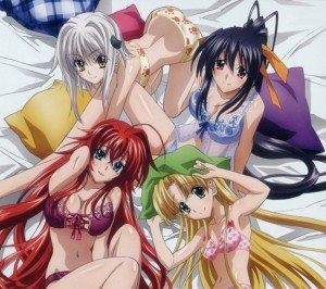 High School DxD NEW.Android wallpaper.2160x1920