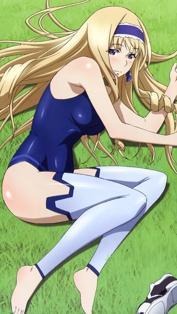 Infinite Stratos.Cecilia Alcott Samsung Galaxy S4 wallpaper.1080×1920