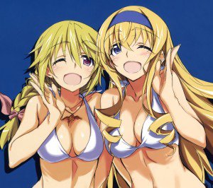 Infinite Stratos.Cecilia Alcott.Charlotte Dunois Android wallpaper.2160x1920
