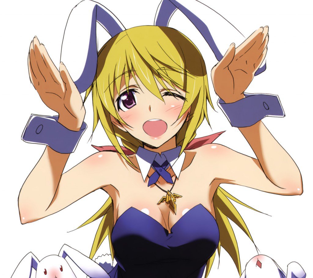 Infinite Stratos Dunois