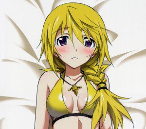 Infinite Stratos.Charlotte Dunois Android wallpaper.2160x1920 (4)