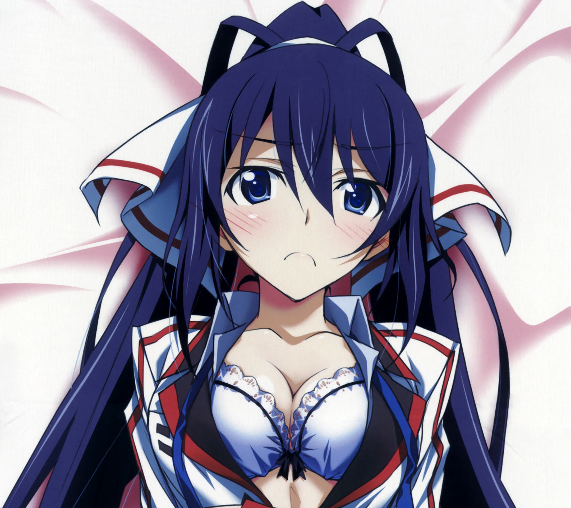 Houki Shinonono (IS: Infinite Stratos) - Pictures 