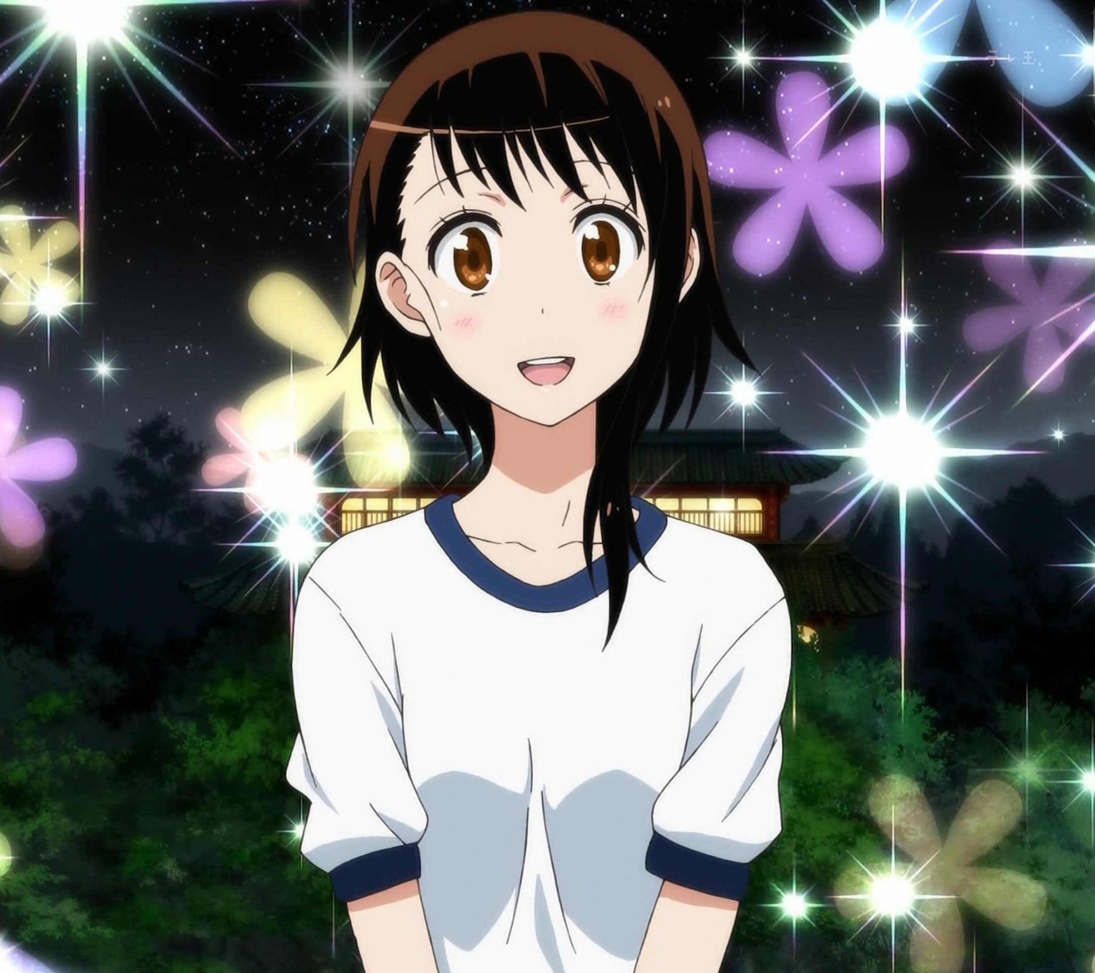 Fragglepuss Anime Review 16: Nisekoi: False Love, nisekoi false love HD  wallpaper