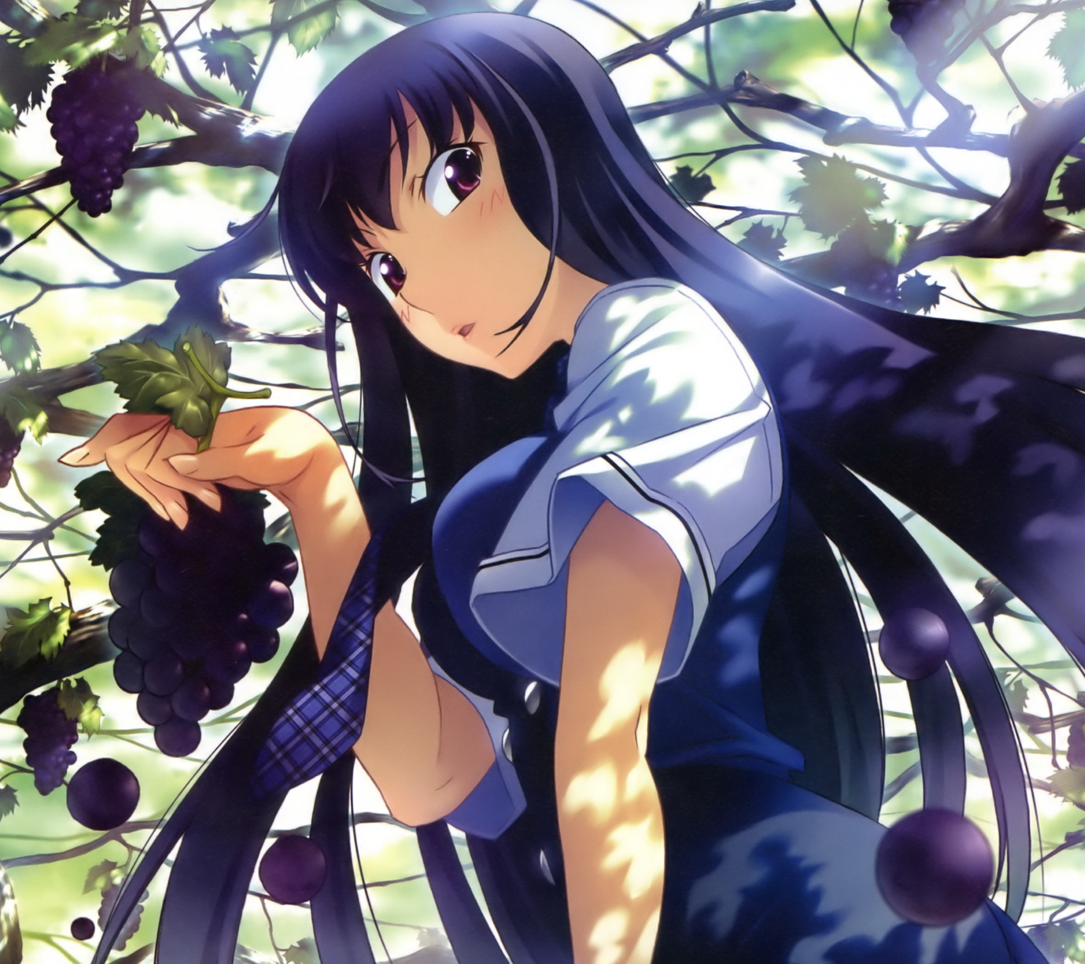 Grisaia no Kajitsu iPhone and android wallpapers