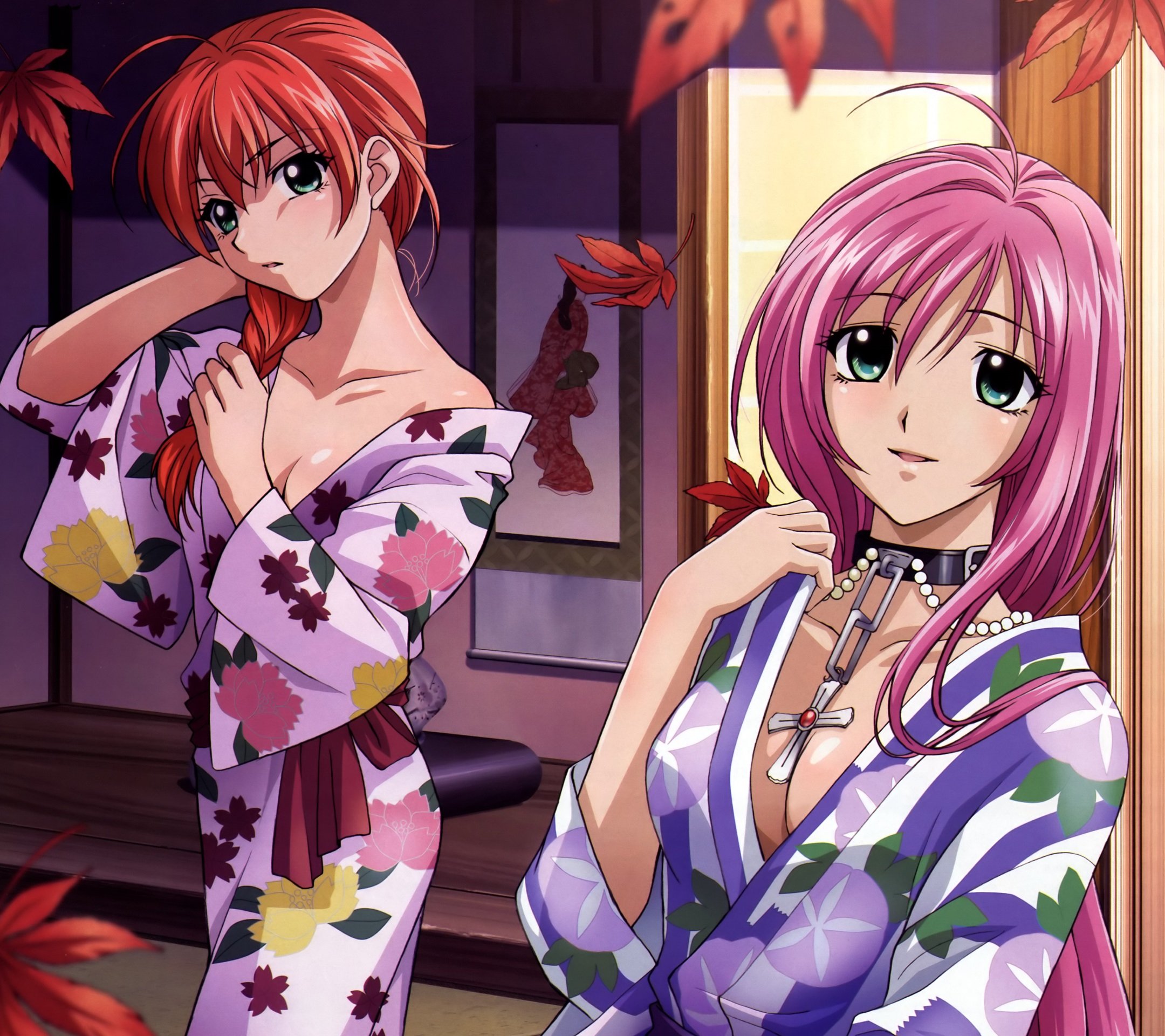 Rosario plus Vampire Moka Akashiya Kokoa Shuzen 2160x1920