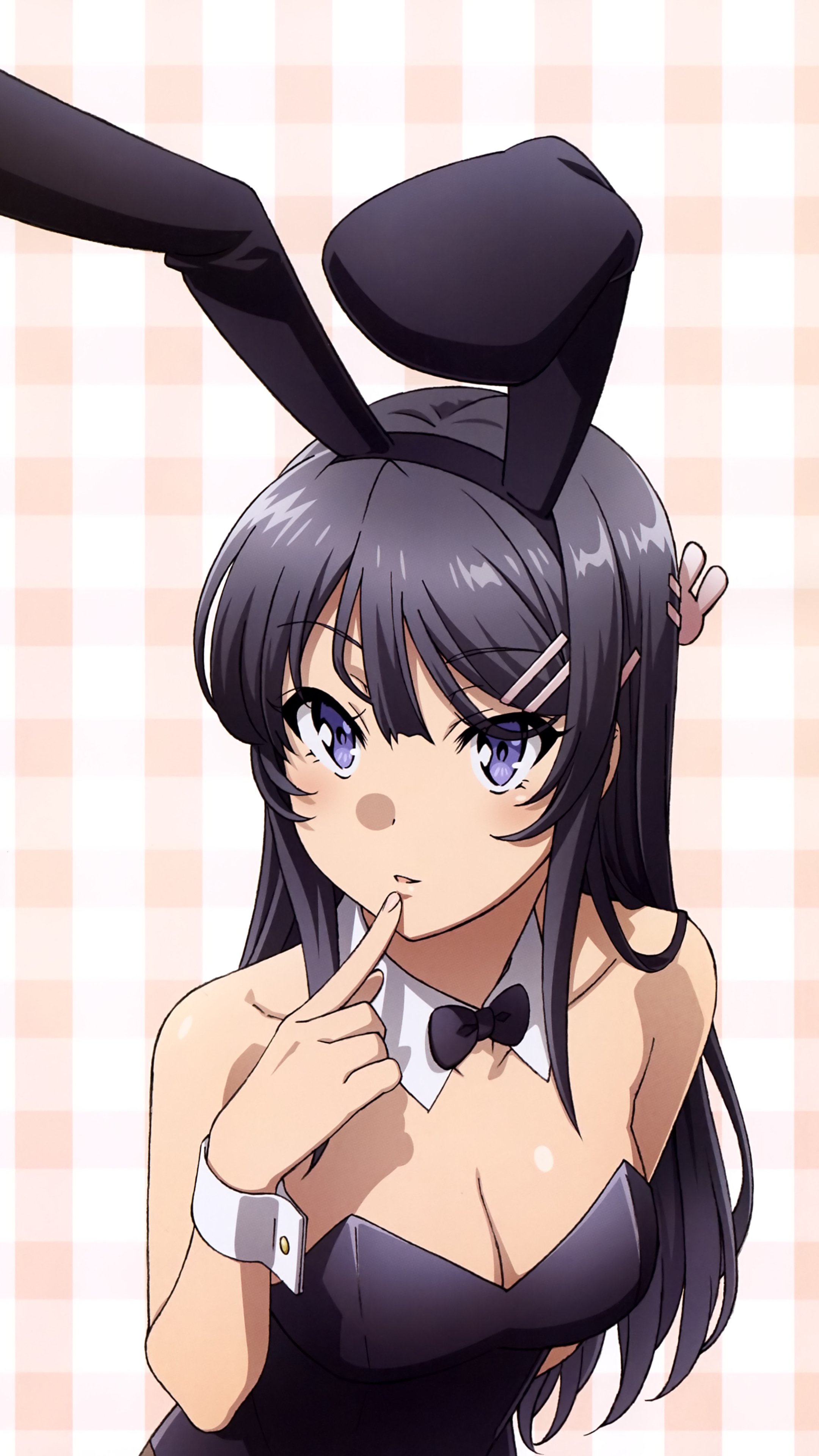 Seishun Buta Yarou wa Bunny Girl Senpai no Yume o Minai 