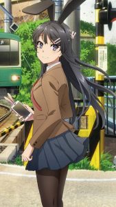 Seishun Buta Yarou wa Bunny Girl Senpai no Yume wo Minai Mai Sakurajima 720x1280