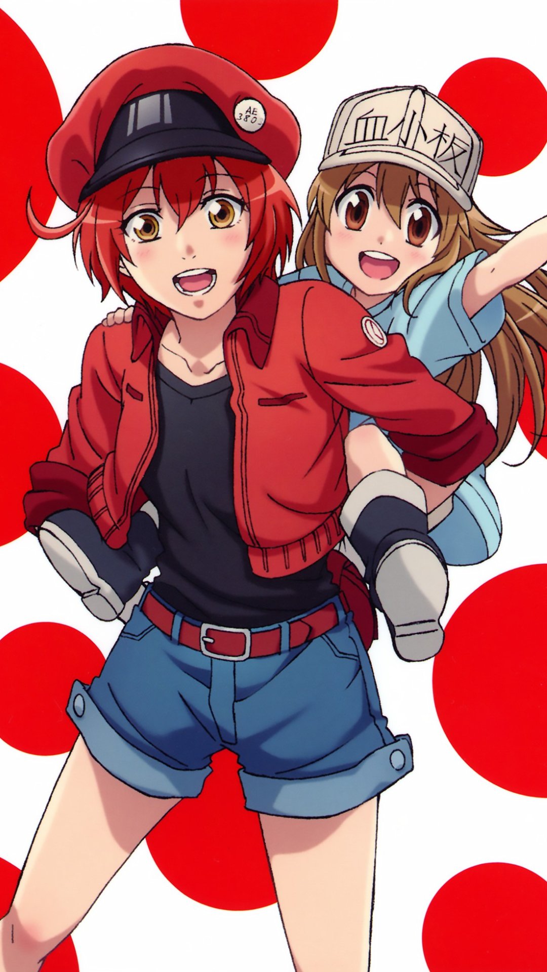 Hataraku Saibou 1080×1920 – Kawaii Mobile